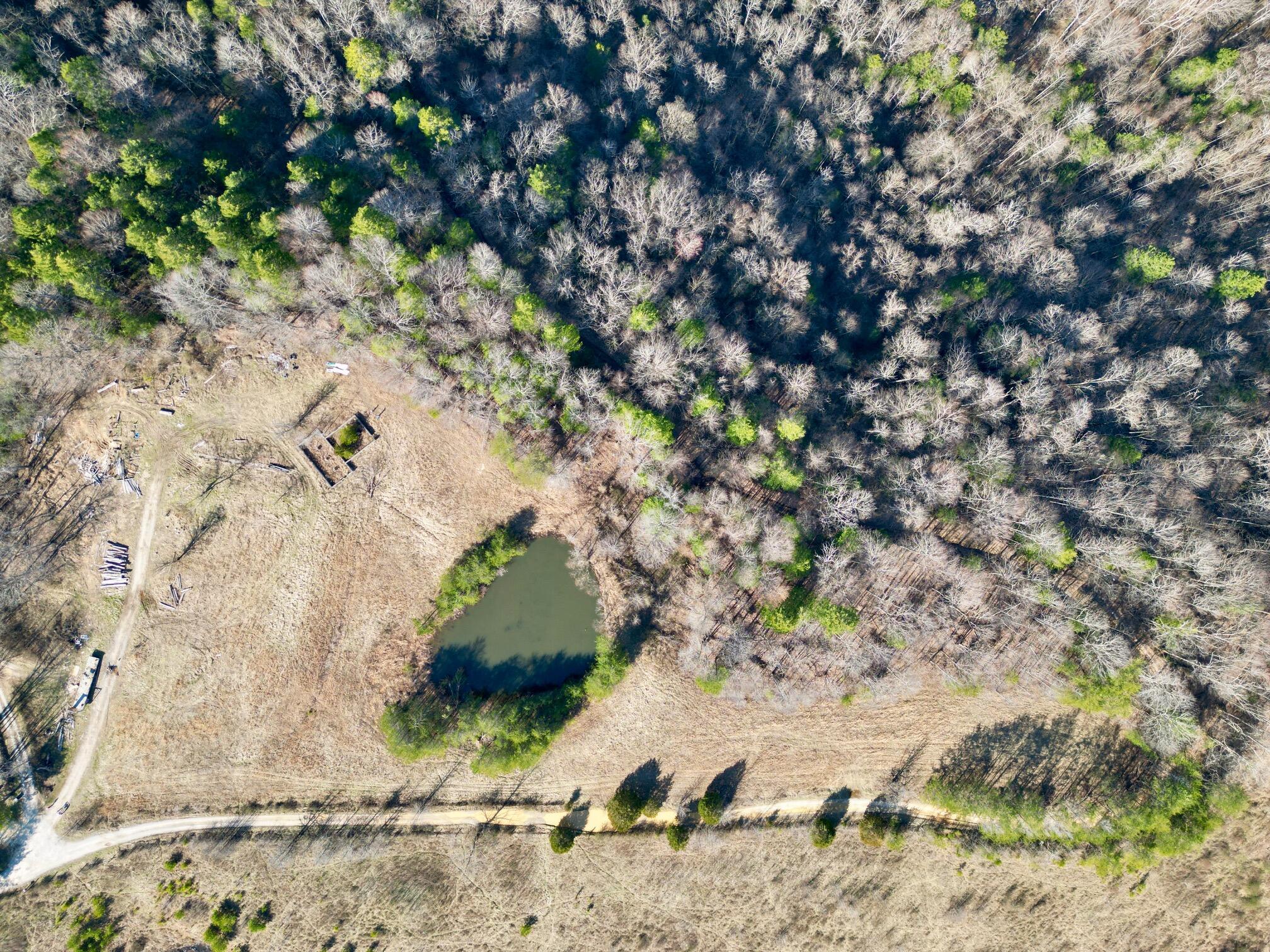 391 Old Fincastle Road Zoe, KY 41397 - Photo 11 of 14 dji_fly_20250318_163346_691_174233088016