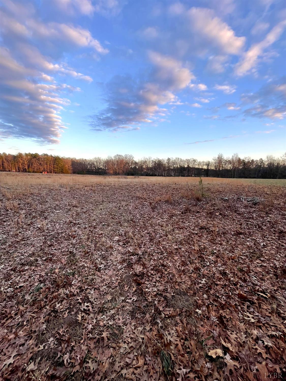 6 Gilliam Road Brookneal, VA 24528 - Photo 3 of 10 Gallery Image 3