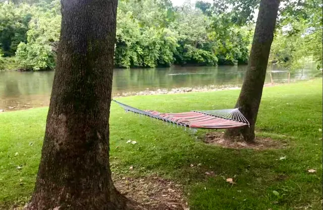 a view of a garden with a lake