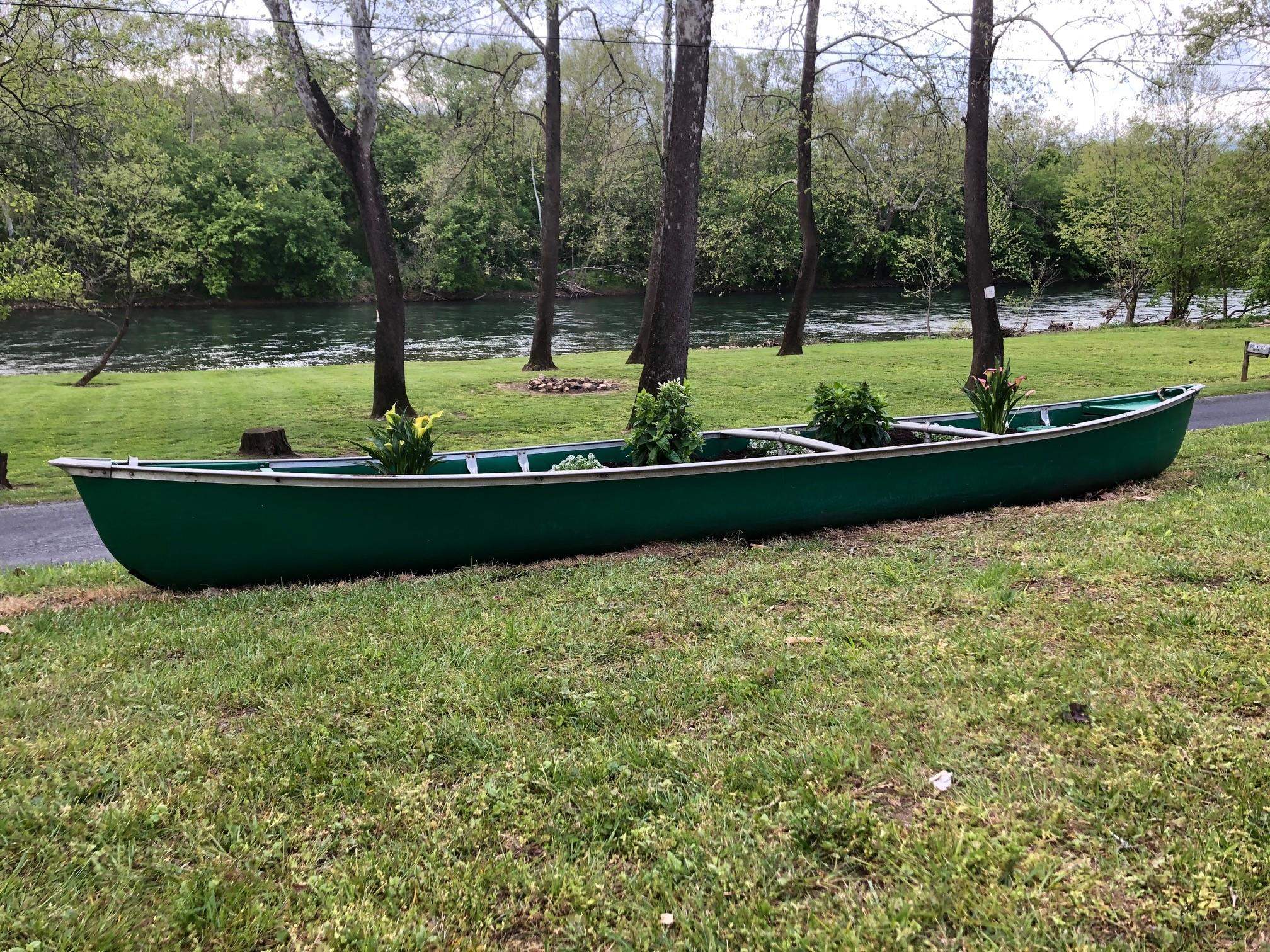 4551 Grove Hill River Road Shenandoah, VA 22849 - Photo 4 of 41 a view of a swimming pool with a garden