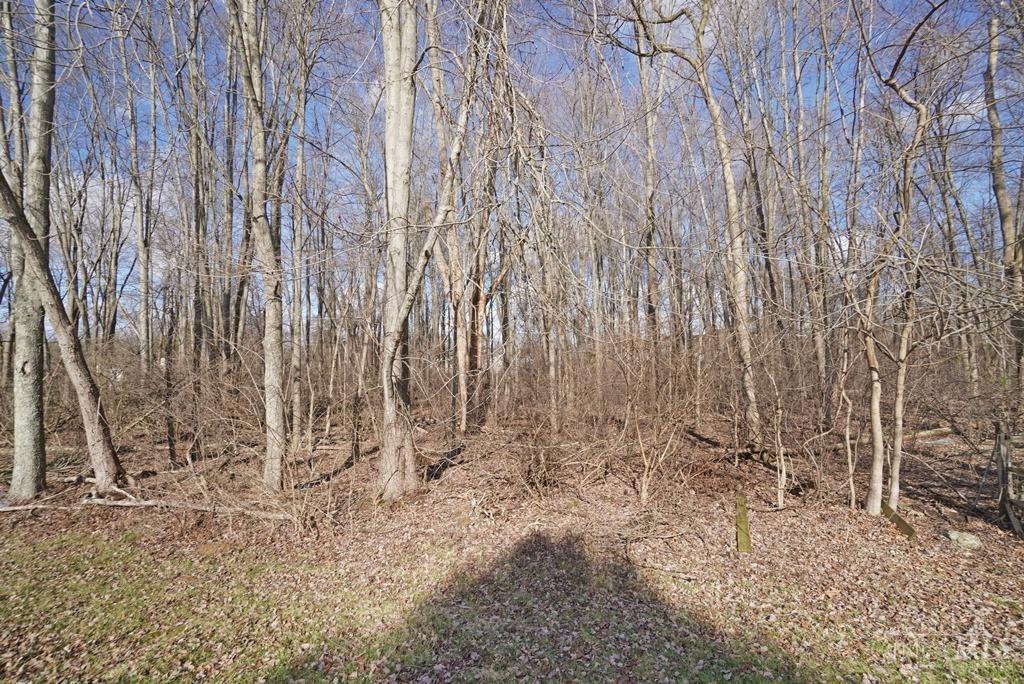 203 Deershadow Road Maineville, OH 45039 - Photo 27 of 30