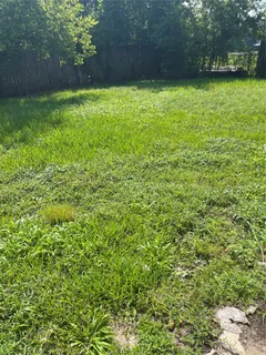 a view of a yard with a tree