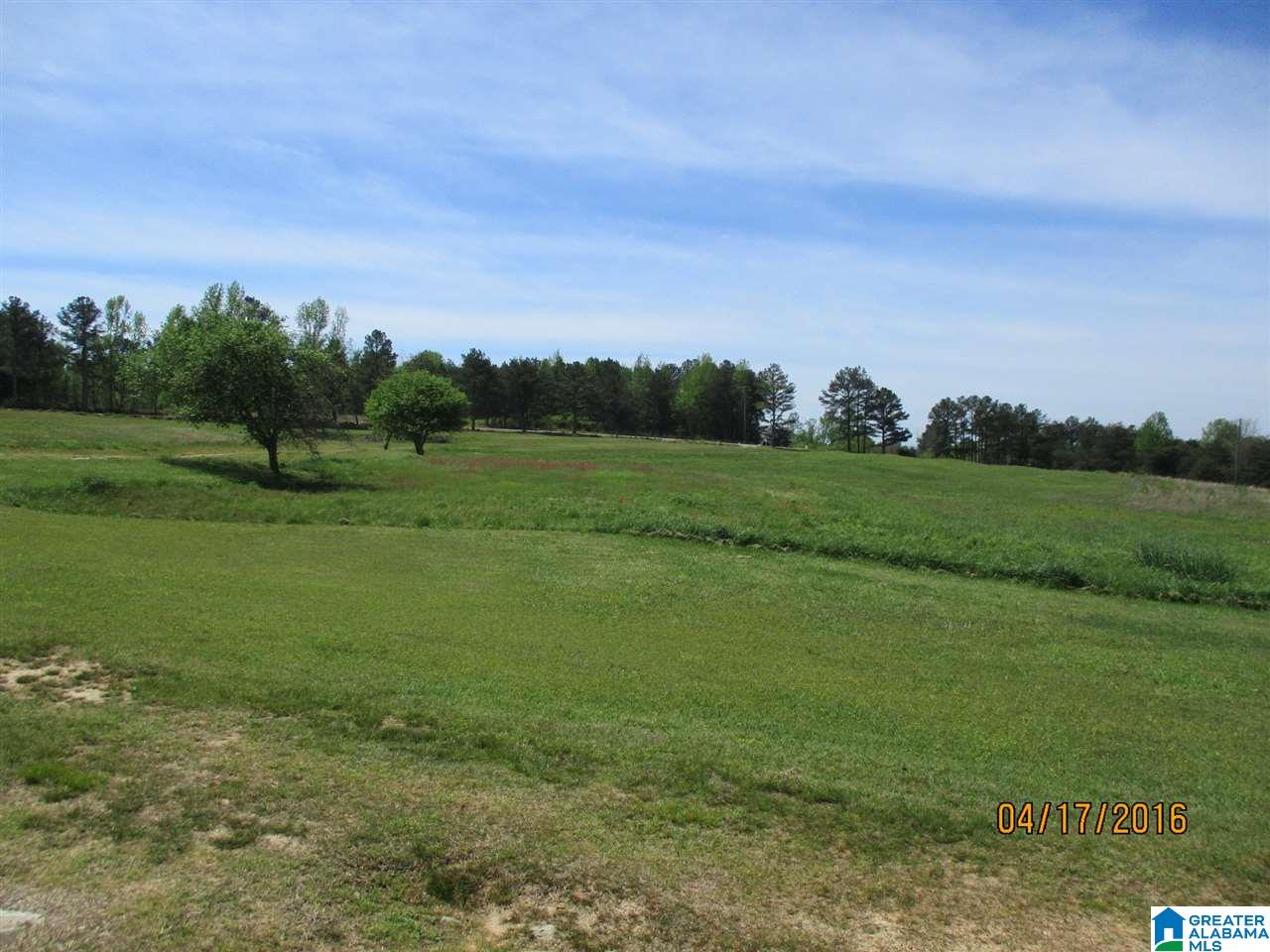 2253 Cliff Springs Road Oneonta, AL 35121 - Photo 18 of 50 Gallery Image 18