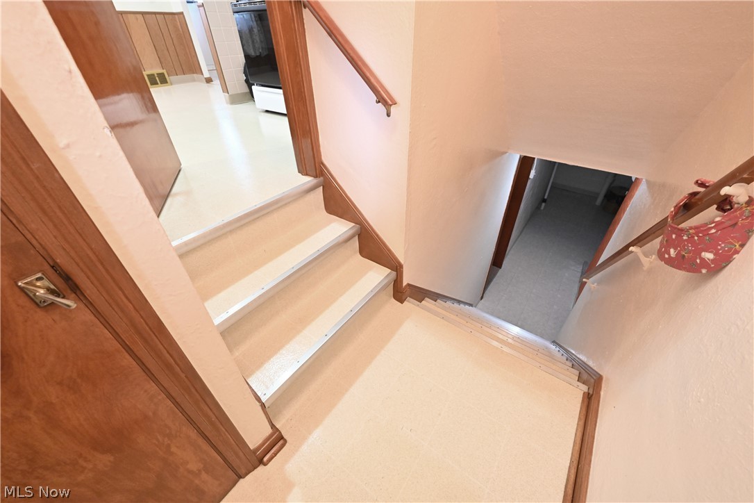 6210 Ridgewood Avenue Cleveland, OH 44129 - Photo 22 of 30 Side door entrance and steps leading to basement