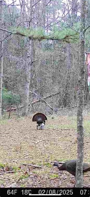 3723 B Rollinson Road Liberty, MS 39645 - Photo 27 of 43 Photo 27