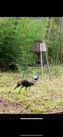 $150,000 | 3723 B Rollinson Road, Liberty, MS 39645