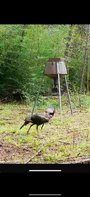 3723 B Rollinson Road Liberty, MS 39645 - Photo 29 of 43 Photo 29