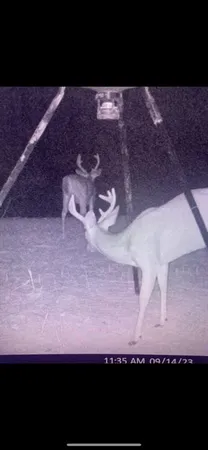 $150,000 | 3723 B Rollinson Road, Liberty, MS 39645