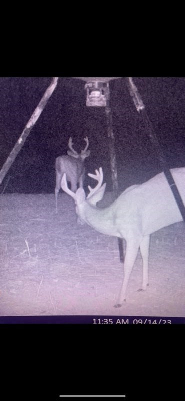 3723 B Rollinson Road Liberty, MS 39645 - Photo 31 of 43 Photo 31