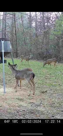 $150,000 | 3723 B Rollinson Road, Liberty, MS 39645