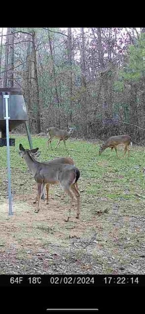 3723 B Rollinson Road Liberty, MS 39645 - Photo 32 of 43 Photo 32