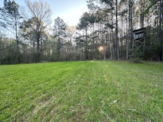 3723 B Rollinson Road Liberty, MS 39645 - Photo 37 of 43 Photo 37