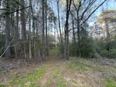 $150,000 | 3723 B Rollinson Road, Liberty, MS 39645