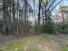 3723 B Rollinson Road Liberty, MS 39645 - Photo 38 of 43 Photo 38