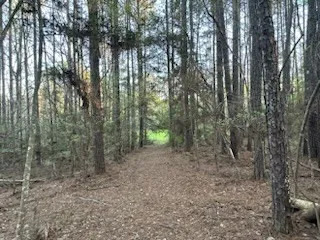 $150,000 | 3723 B Rollinson Road, Liberty, MS 39645