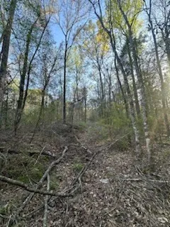 $150,000 | 3723 B Rollinson Road, Liberty, MS 39645