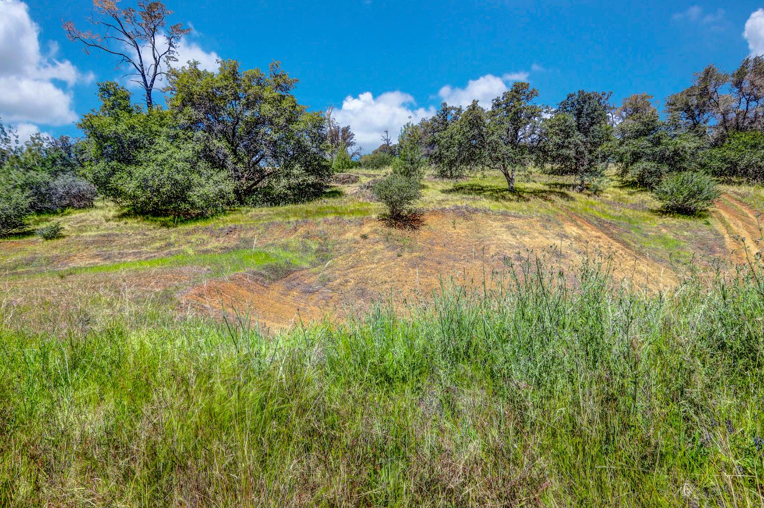 29 Township Road Browns Valley, CA 95918 - Photo 9 of 62 Gallery Image 9
