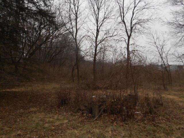 419 North Appleton Road Belvidere, IL 61008 - Photo 21 of 21 a view of a yard