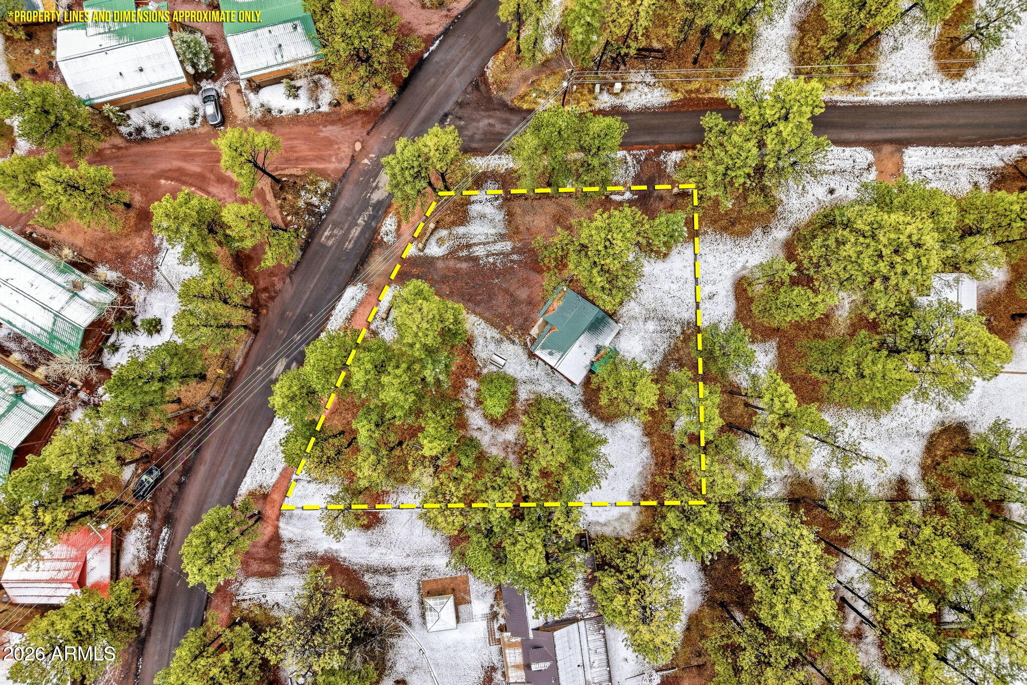 41 Main Street Greer, AZ 85927 - Photo 29 of 30 a picture of flowers