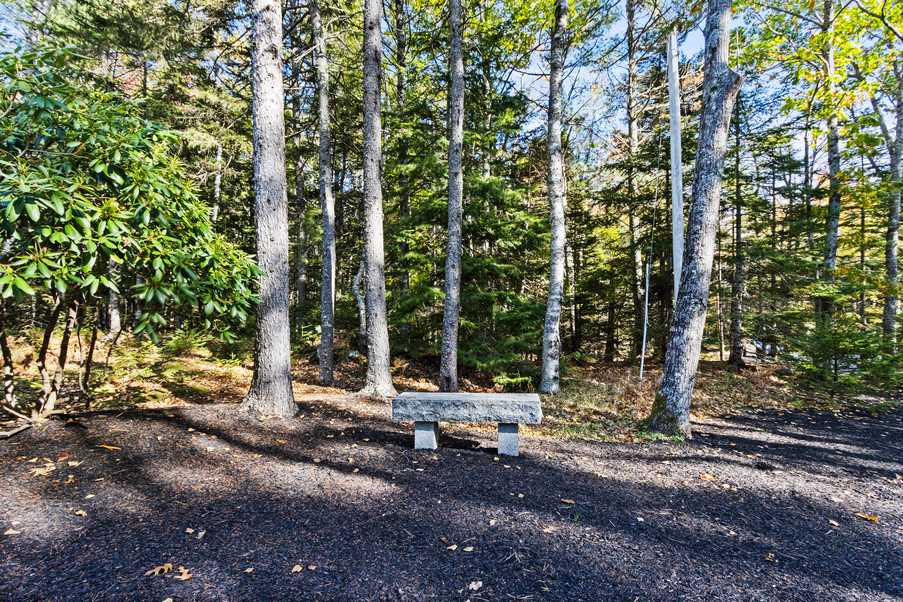 31 Howards Hill Road Harpswell, ME 04079 - Photo 40 of 40 20251015KG-71075