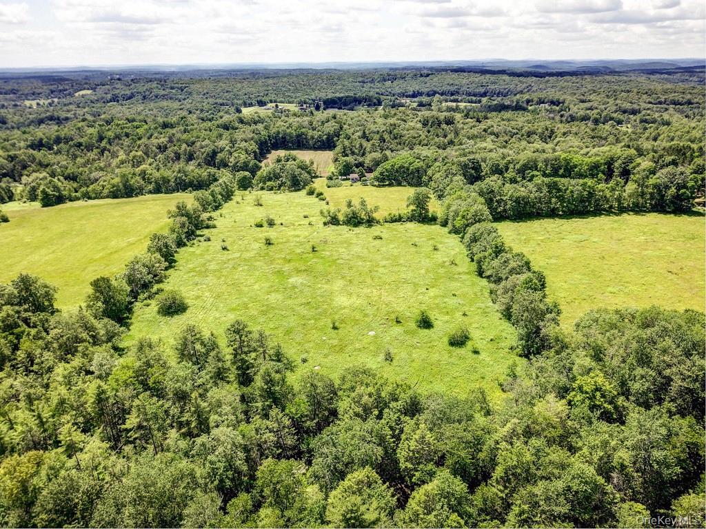 196 Gabriel Road Cochecton, NY 12726 - Photo 7 of 7 view from back