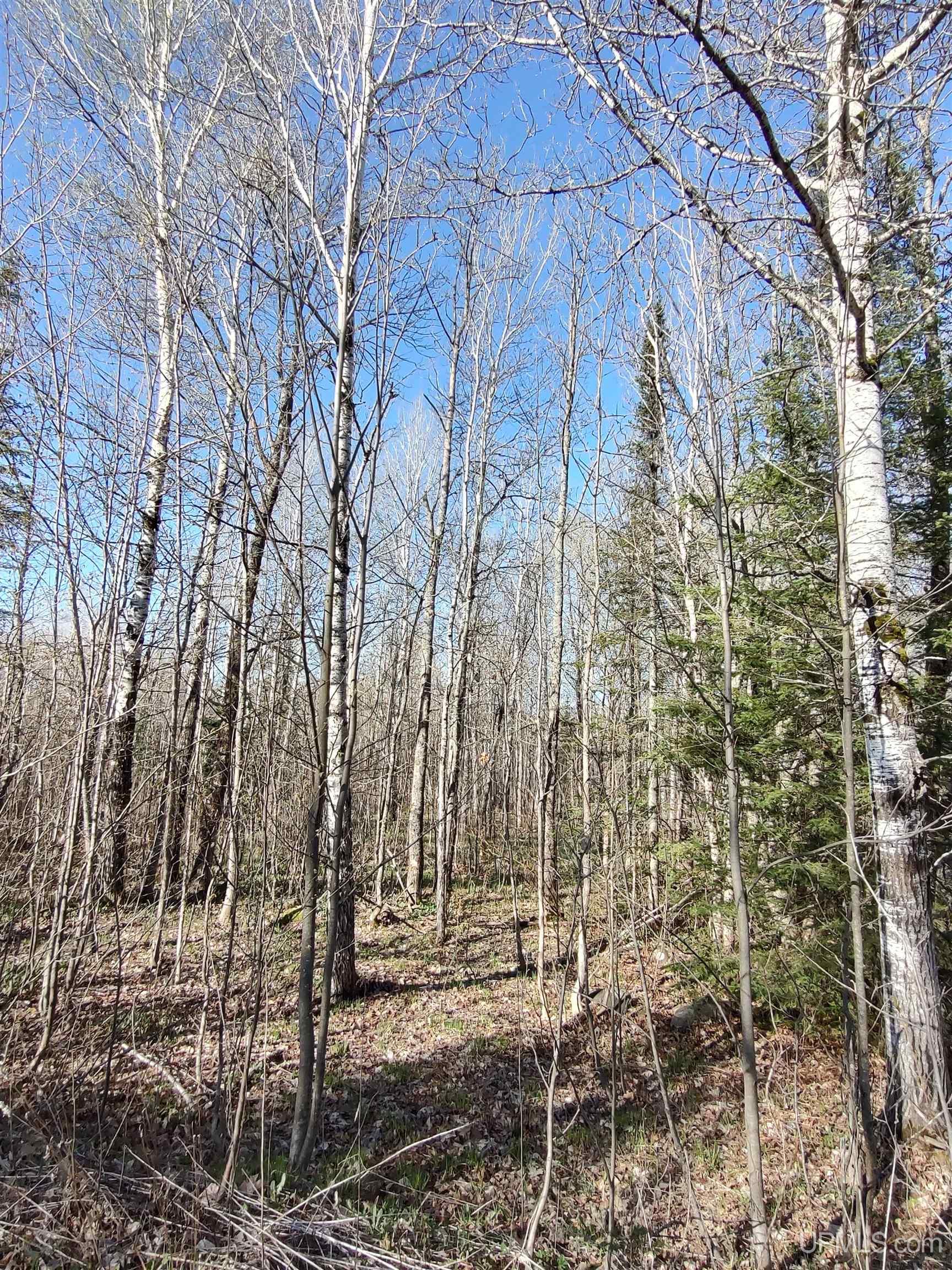 Tbd Tbd Schooner Road Ontonagon, MI 49953 - Photo 31 of 44