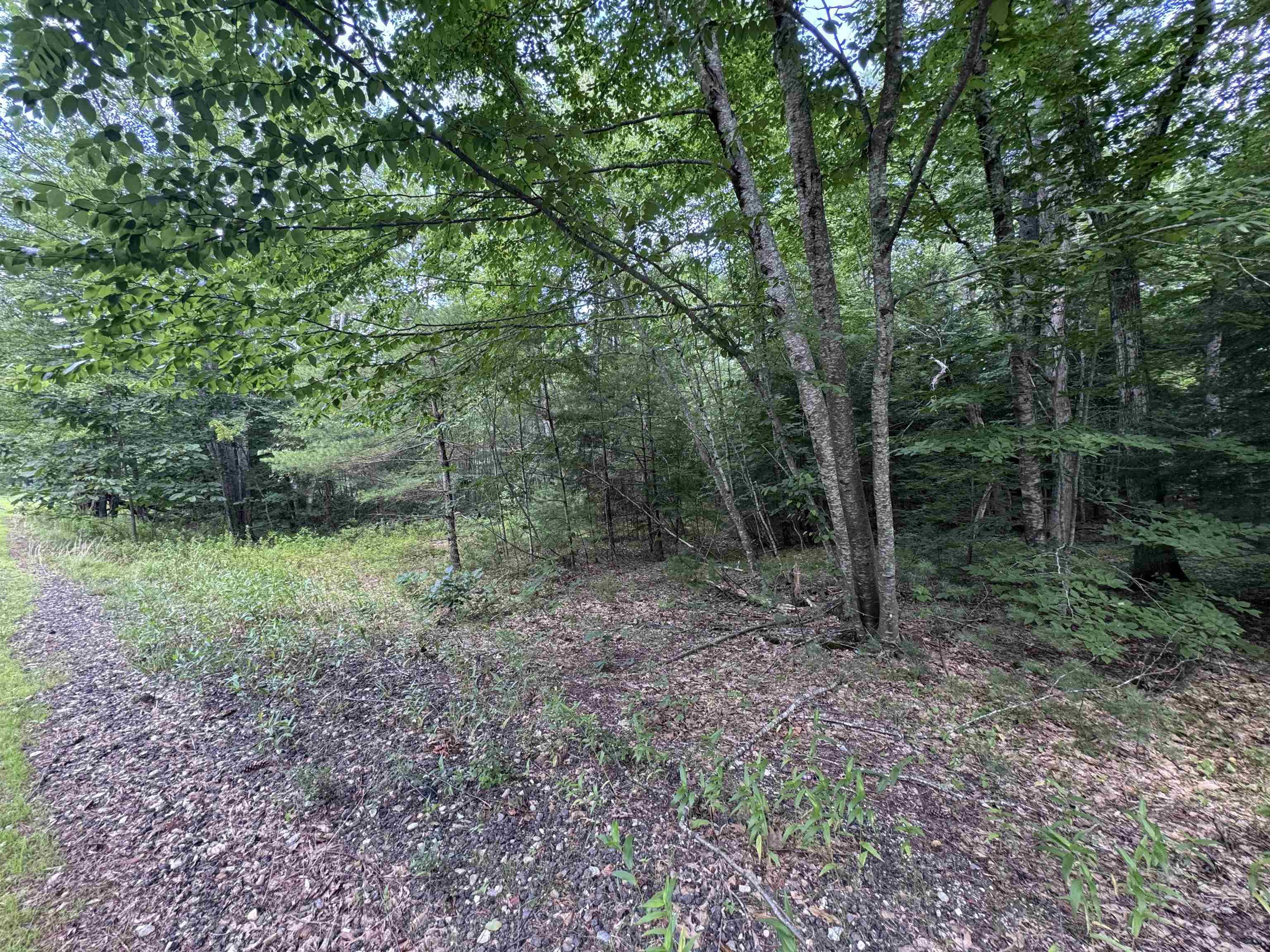 140 Parker Mountain Road Barrington, NH 03825 - Photo 11 of 12