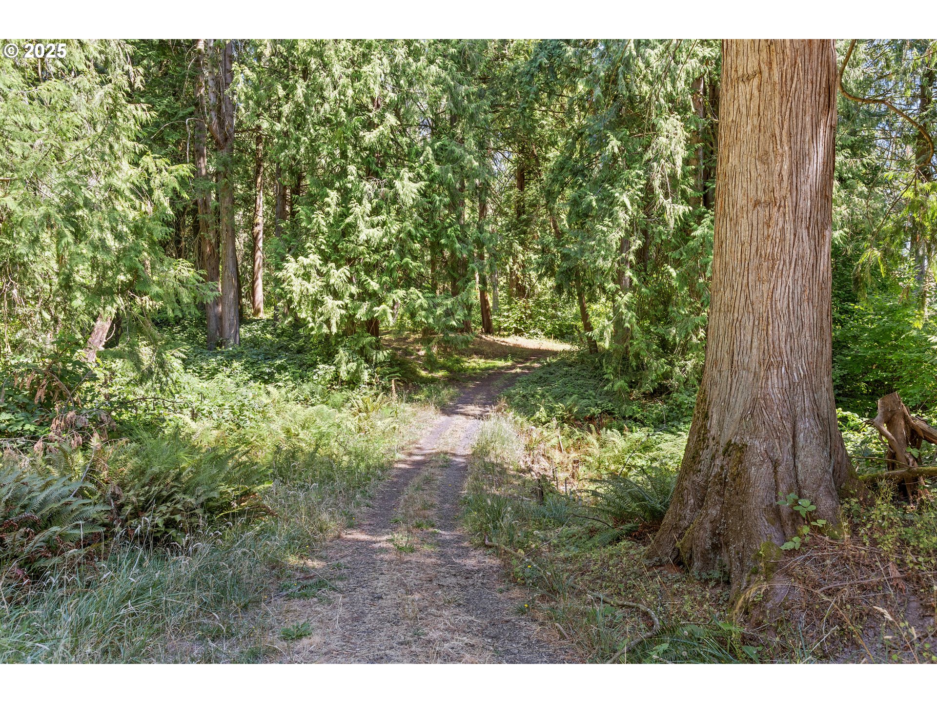 30700 South S Highway Canby, OR 97013 - Photo 32 of 37 a view of a yard with plants and a bench