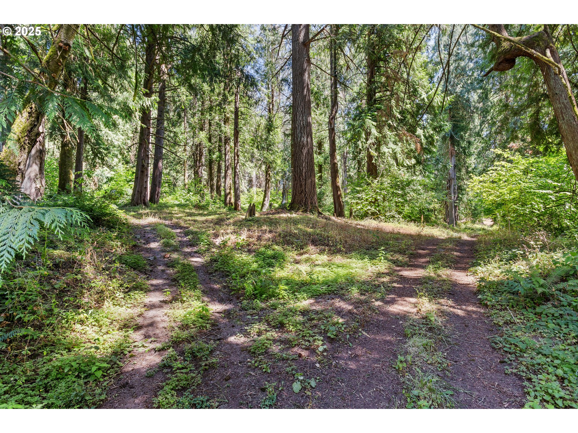 30700 South S Highway Canby, OR 97013 - Photo 33 of 37 a view of outdoor space with trees all around