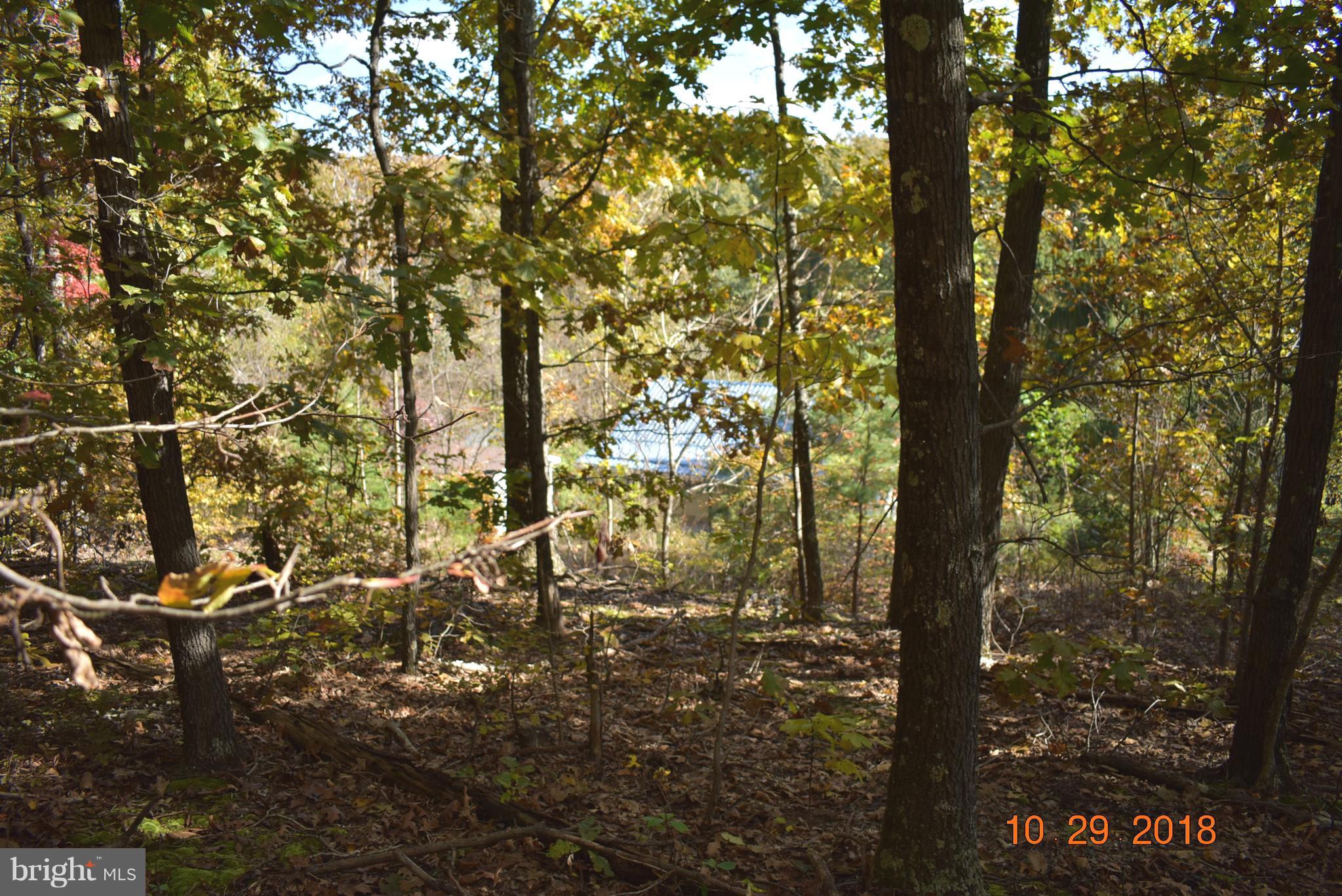 14210 Exline Road Hancock, MD 21750 - Photo 14 of 26 a view of outdoor space
