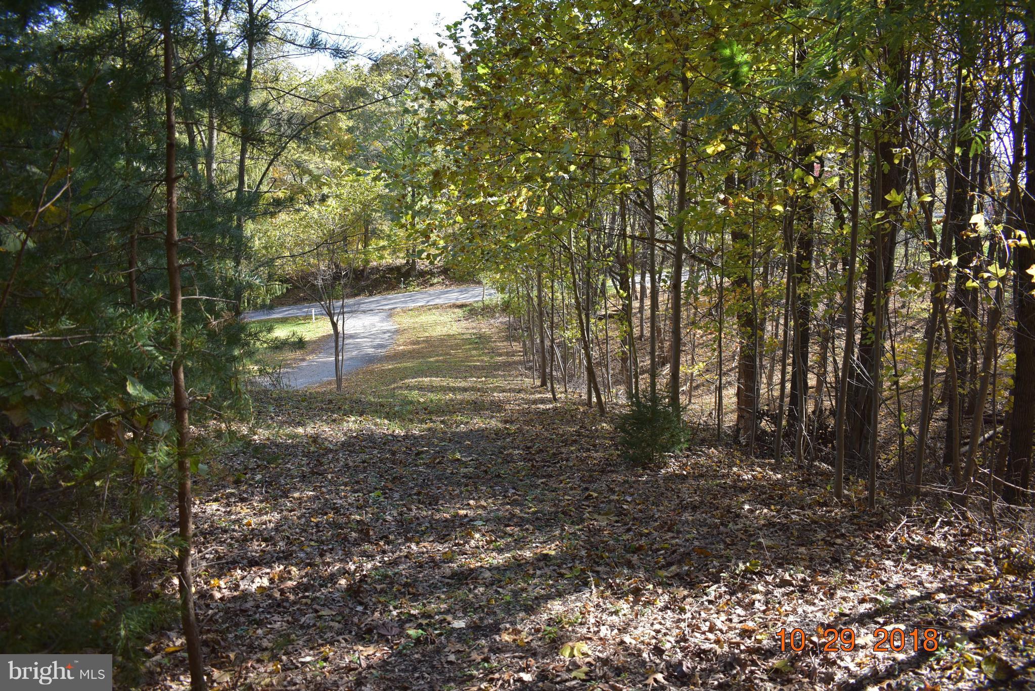 14210 Exline Road Hancock, MD 21750 - Photo 15 of 26 a view of backyard with green space