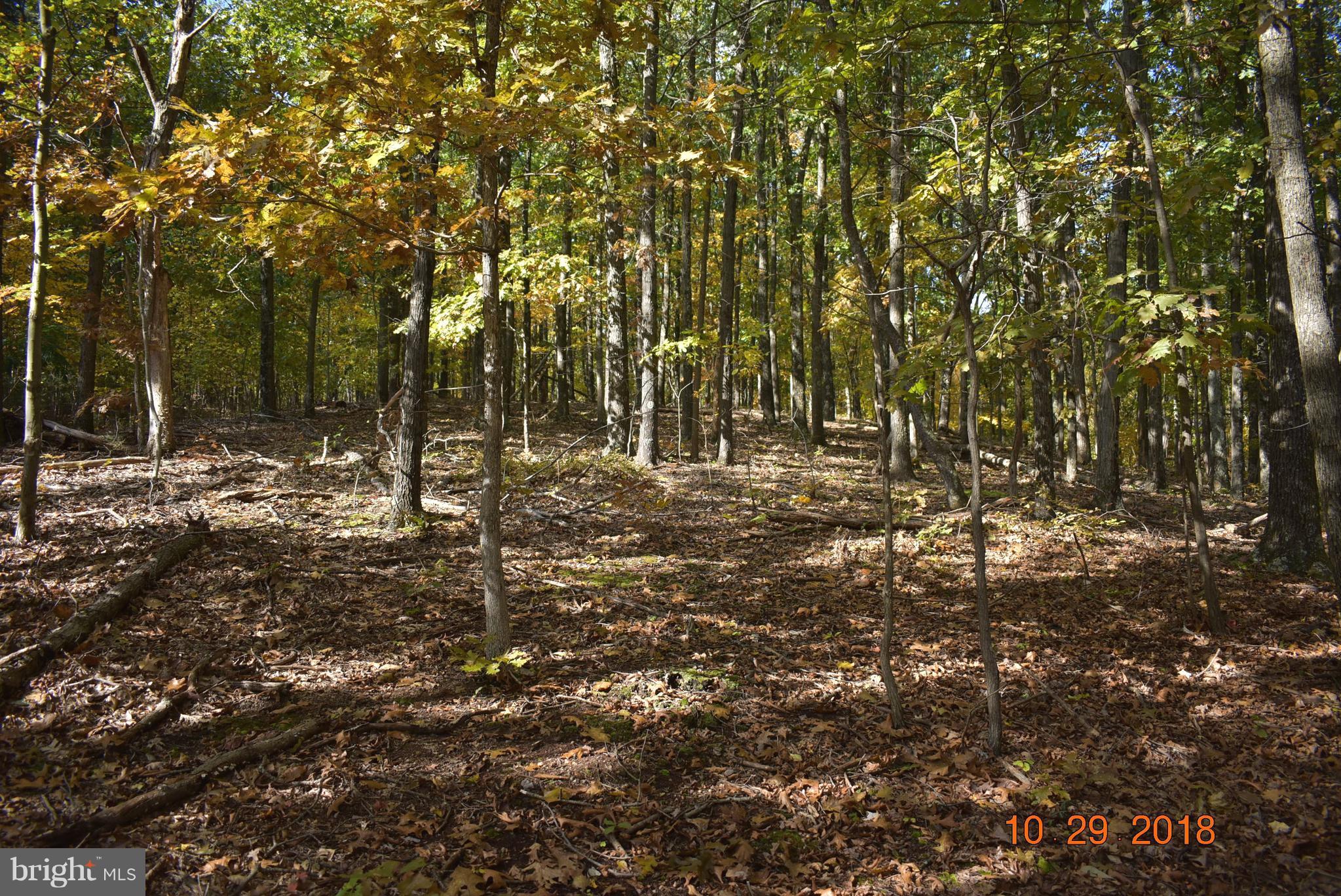 14210 Exline Road Hancock, MD 21750 - Photo 16 of 26 a view of outdoor space with trees