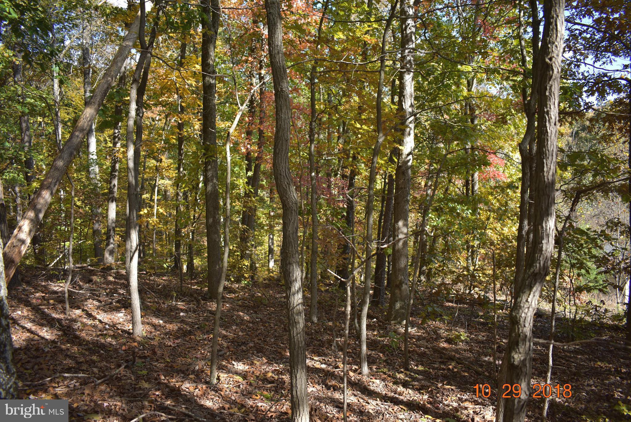 14210 Exline Road Hancock, MD 21750 - Photo 19 of 26