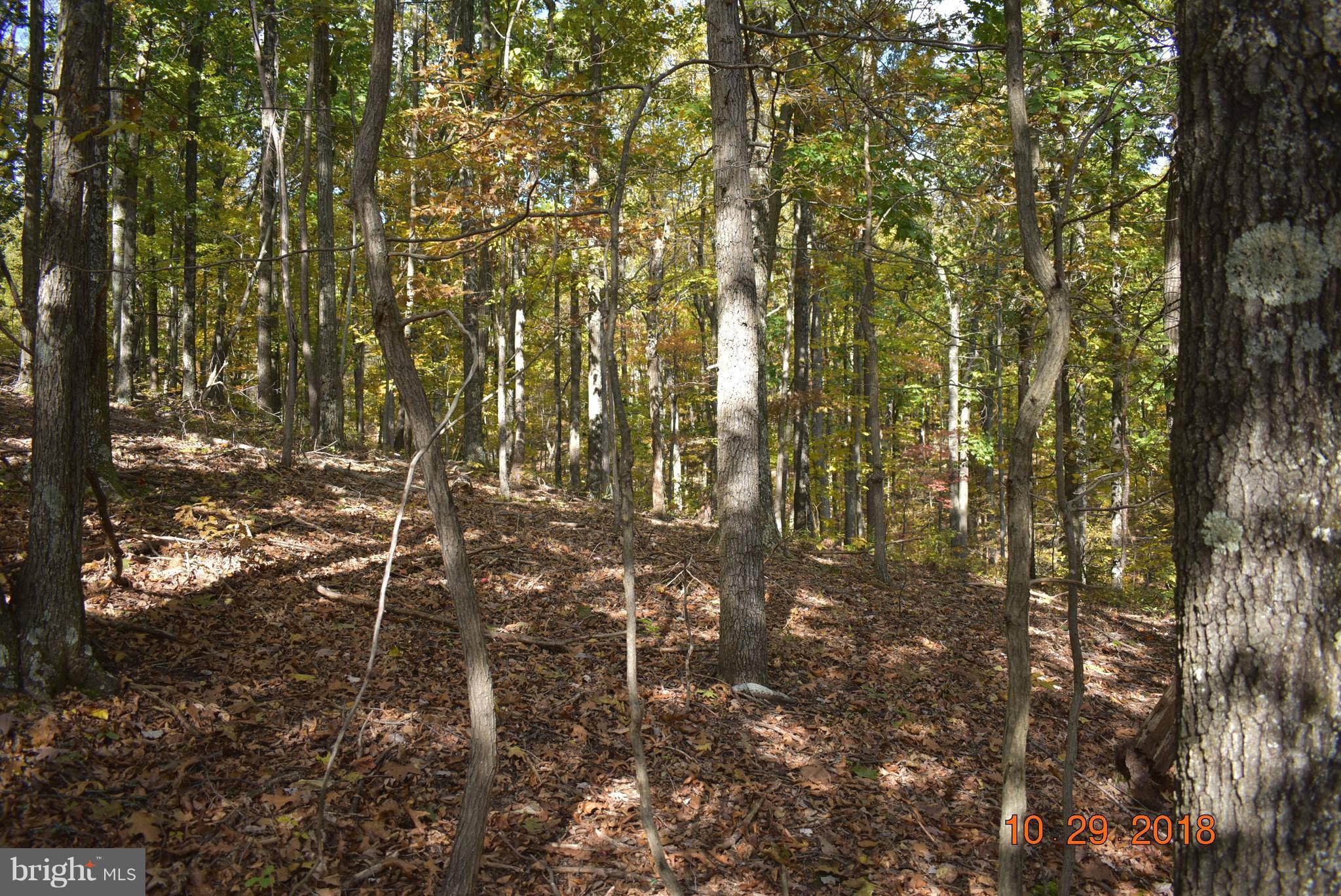 14210 Exline Road Hancock, MD 21750 - Photo 4 of 26 a view of outdoor space