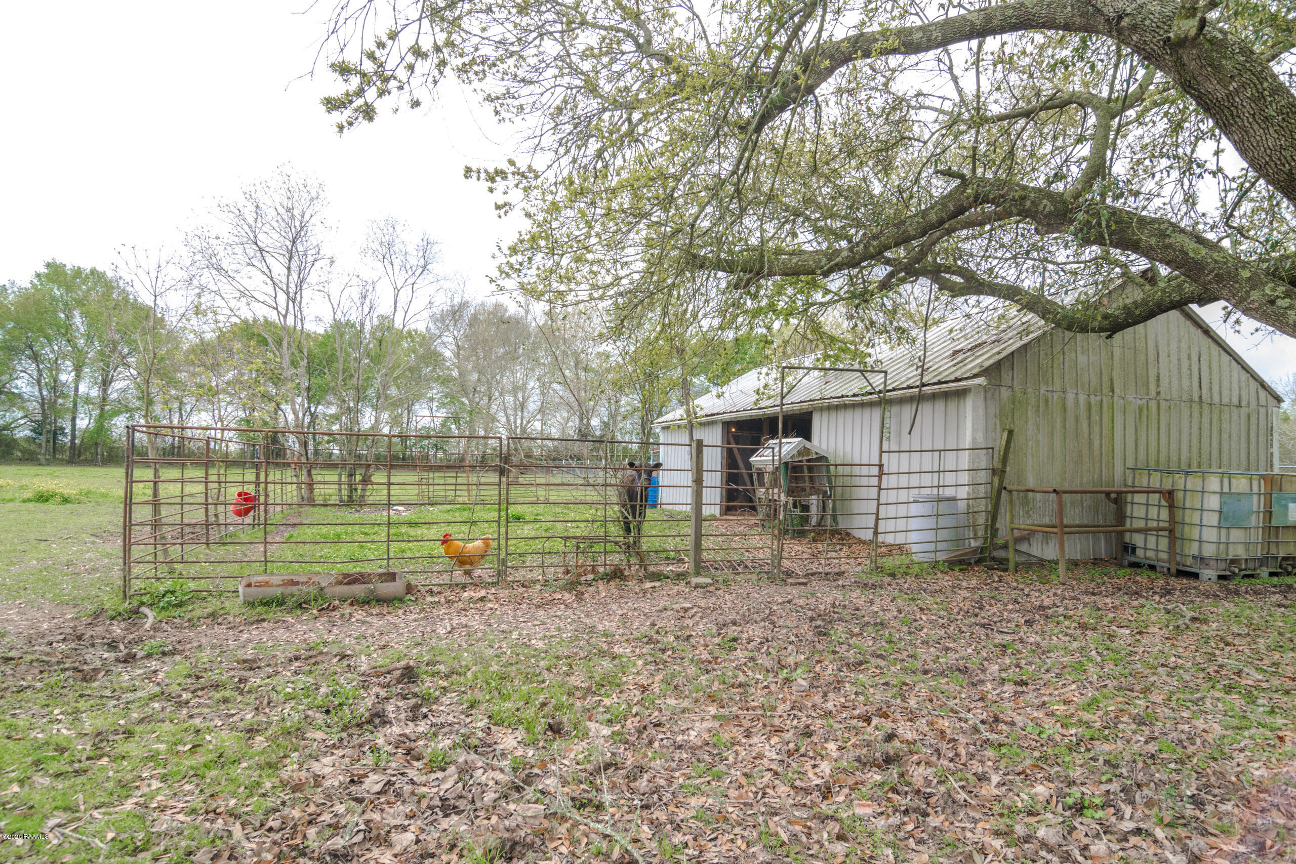 7243 Soop Road Maurice, LA 70555 - Photo 21 of 26 Gallery Image 21