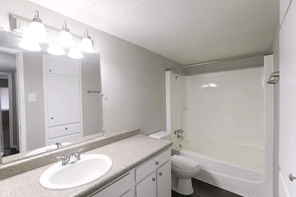 a bathroom with a sink a toilet and a mirror