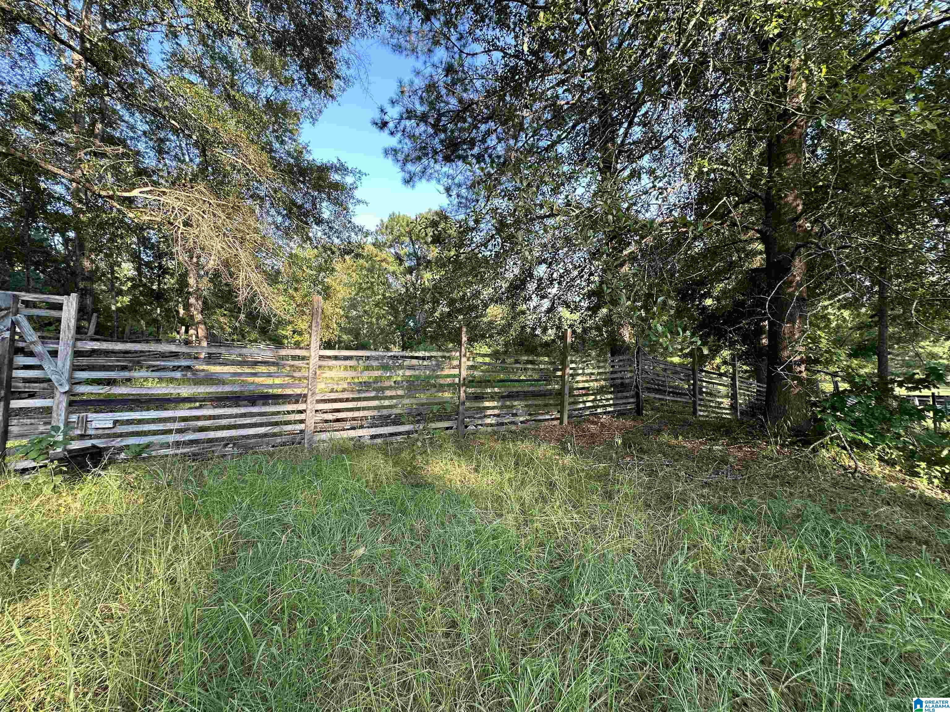 0 Honeycut Road Randolph, AL 36792 - Photo 4 of 29