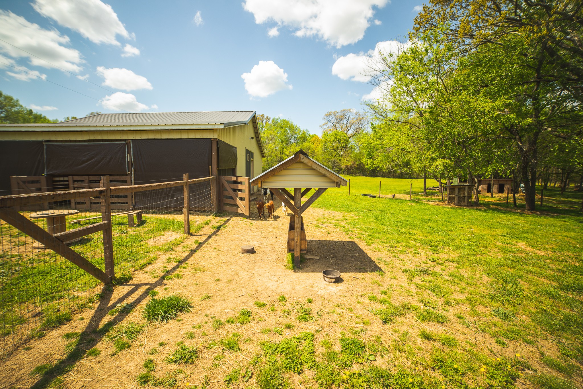 373 Church Road Decherd, TN 37324 - Photo 34 of 65 a view of a swimming pool
