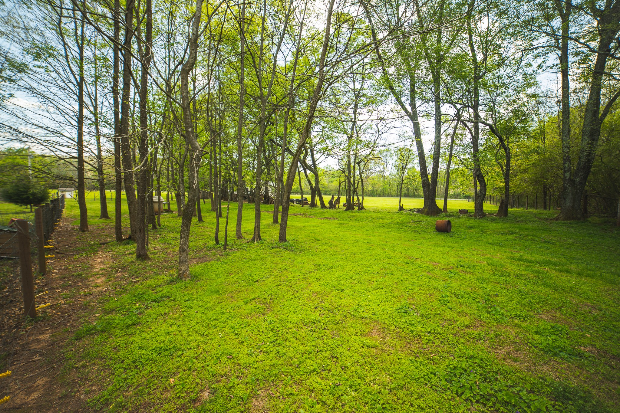 373 Church Road Decherd, TN 37324 - Photo 37 of 65 a green field with lots of trees