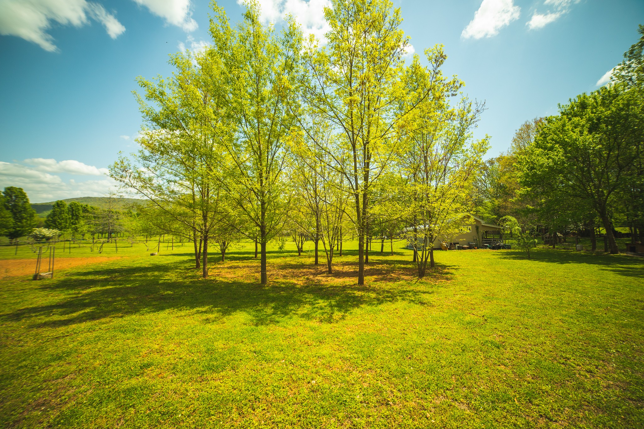 373 Church Road Decherd, TN 37324 - Photo 39 of 65