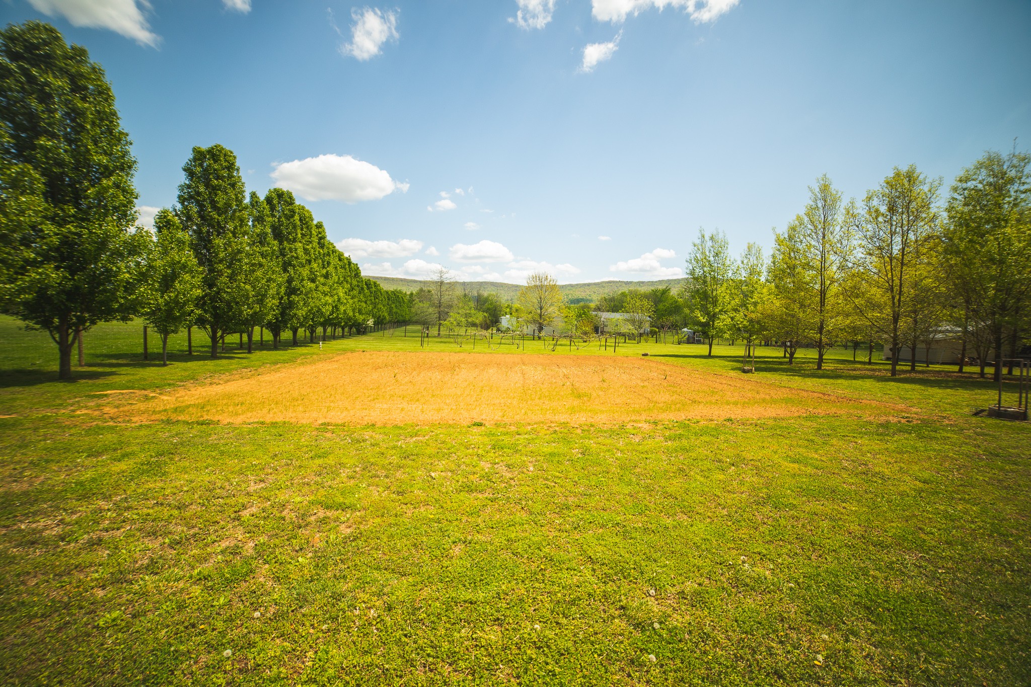 373 Church Road Decherd, TN 37324 - Photo 42 of 65 a view of an ocean and a yard