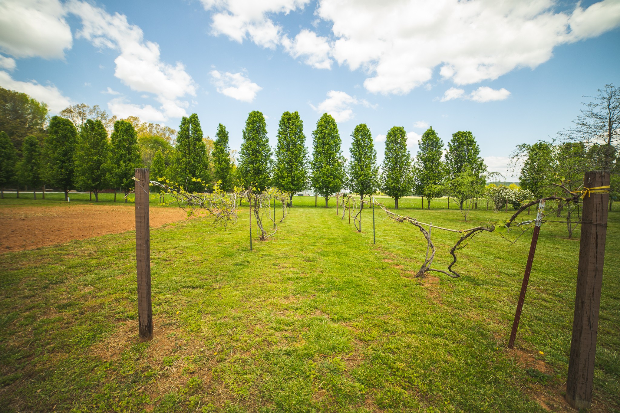 373 Church Road Decherd, TN 37324 - Photo 44 of 65
