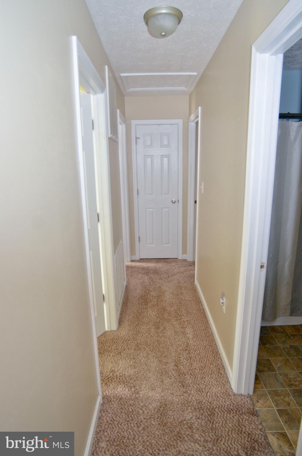 786 Ives Street Martinsburg, WV 25405 - Photo 6 of 31 Hallway on main level
