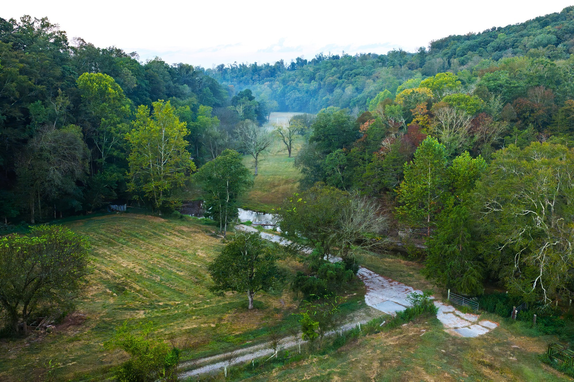 110 Wade Reed Road White Bluff, TN 37187 - Photo 78 of 94 Gallery Image 78