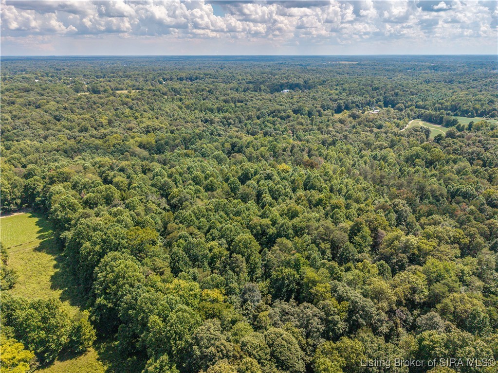 East Blocher Road Lexington, IN 47138 - Photo 7 of 18