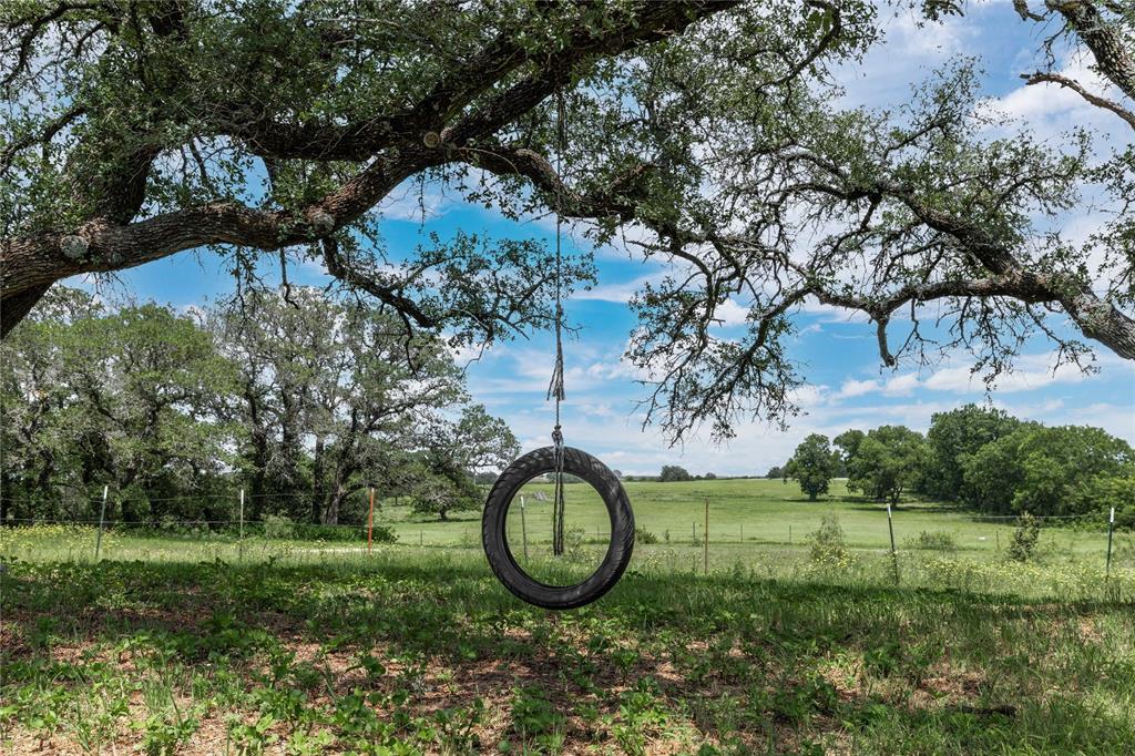 3718 Highway 36 Rising Star, TX 76471 - Photo 28 of 36 a view of a garden with large trees
