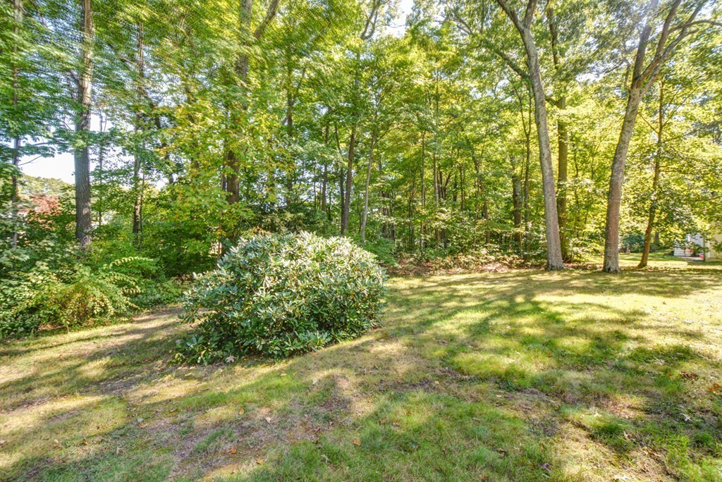 50 Esten Road Stoughton, MA 02072 - Photo 29 of 29 Gallery Image 29