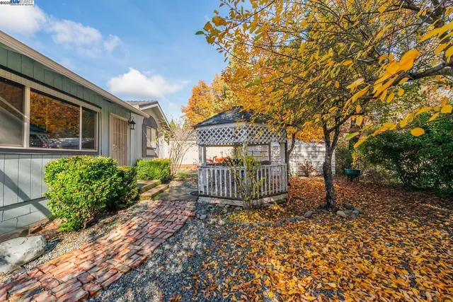 a view of a house with a large tree and plants