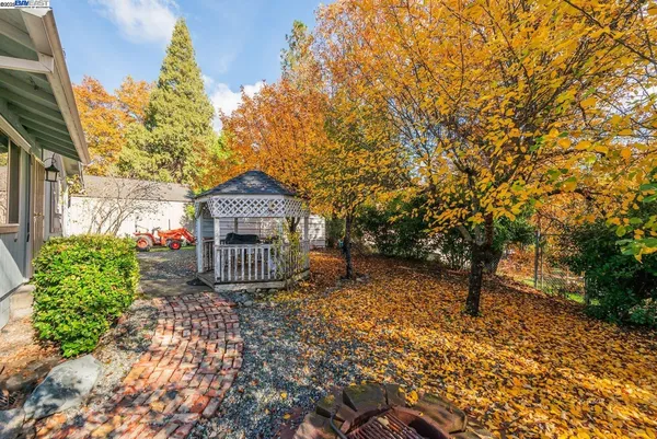 a view of a tree in front of a house