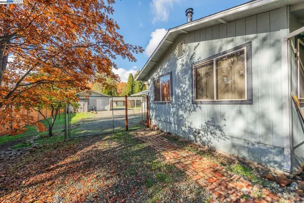 a view of a yard with trees